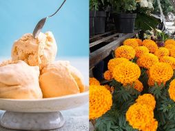 Con la siguiente receta casera, no necesitas de máquinas para prepararla. ESPECIAL / UNSPLASH