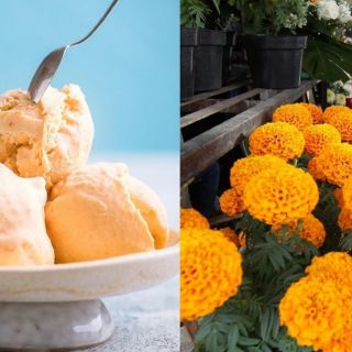 ¿Nieve de flor de cempasúchil? Te decimos cómo prepararla