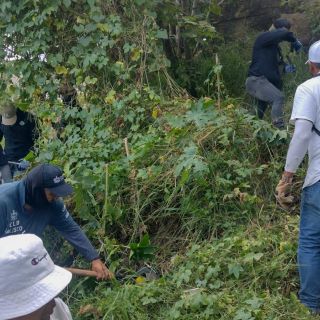 Colectivo de búsqueda encuentra restos calcinados, ahora en Zapopan