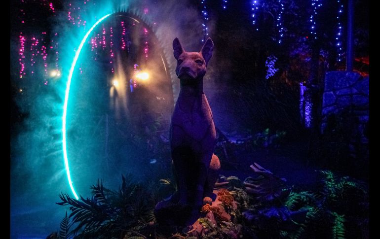 La cuarta edición a Calaverandia está próxima a empezar. EL INFORMADOR/ H. Fifgueroa.