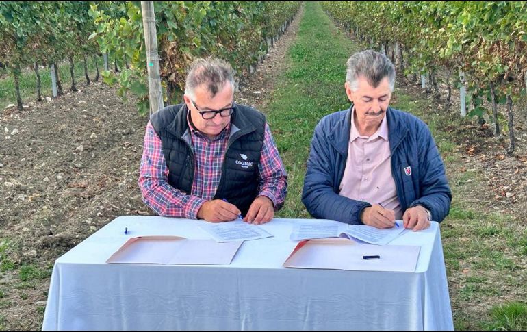 Una de las acciones fundamentales del CRT y el BNIC es salvaguardar ambas bebidas. CORTESÍA