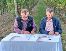 Una de las acciones fundamentales del CRT y el BNIC es salvaguardar ambas bebidas. CORTESÍA