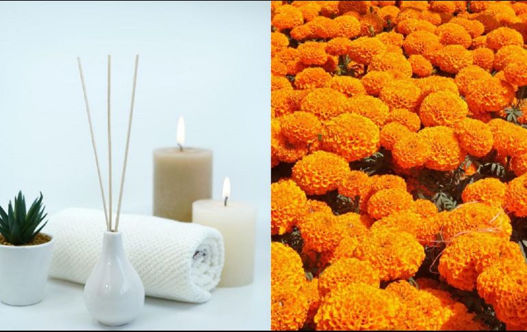 El primer paso será lavar las flores de cempasúchil con cuidado y calentar el agua destilada con varios pétalos durante 10 minutos. ESPECIAL