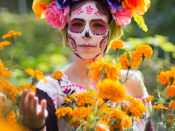 Atrévete a disfrutar un recorrido en el Campo de Cempasúchil muy cerca de Guadalajara. Pexels.