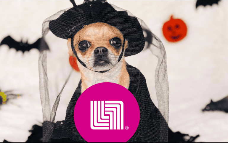 Aquellos que tienen mascotas también disfrutan de caracterizan a sus felinos o caninos. ESPECIAL