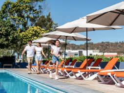 Dentro de Olmos, el recién inaugurado coto dentro del desarrollo, encontrarás terrenos que van desde los 250 m². ESPECIAL