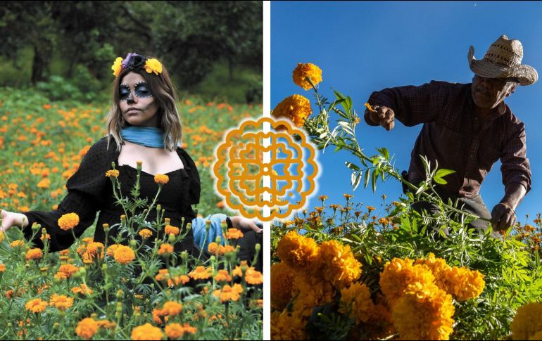 Un acompañamiento del Día de Muertos es la flor de cempasúchil. SUN / ARCHIVO