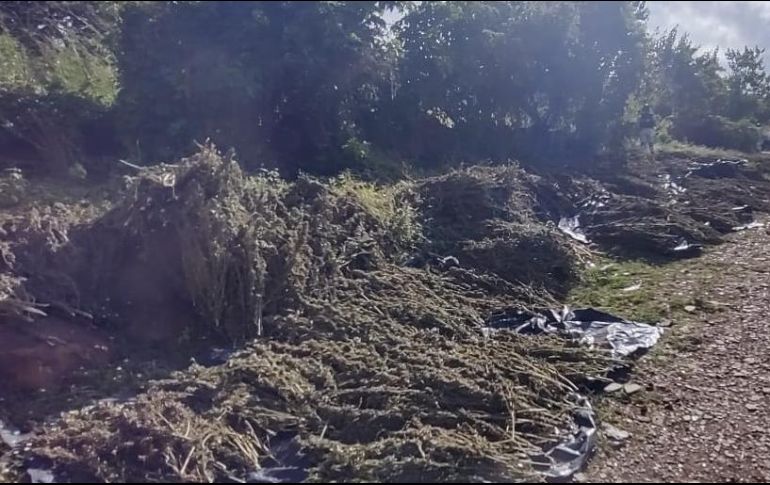 Por los hechos, no hubo personas detenidas y fue abierta la carpeta de investigación. ESPECIAL/FGR