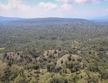 Especialistas y académicos alertan por el intento de propietarios de reducir las hectáreas del Área Natural Protegida. EL INFORMADOR/ ARCHIVO