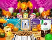 También nuestras mascotas merecen ser recordadas. ESPECIAL / PIXABAY