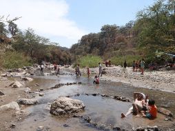 La primavera es un pulmón insustituible para los tapatíos. EL INFORMADOR/ ARCHIVO