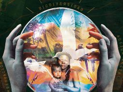 La Biosfera Yasuní es suprema en lo que respecta a la biodiversidad. CORTESÍA/M. Ruiz