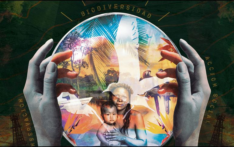 La Biosfera Yasuní es suprema en lo que respecta a la biodiversidad. CORTESÍA/M. Ruiz