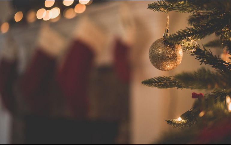 Hay muchas opciones para comprar un árbol de Navidad tanto natural como artificial. Unsplash.