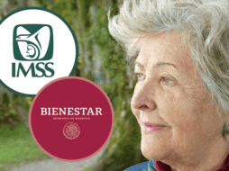 Si quieres recibir la pensión que tenía tu esposo, te explicamos cómo cobrar tanto la del IMSS, como la Pensión Bienestar. ESPECIAL/ Pixabay.