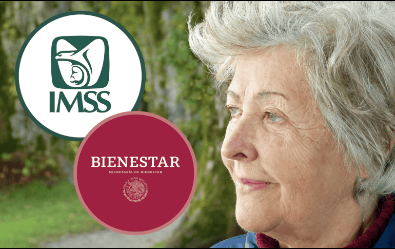 Si quieres recibir la pensión que tenía tu esposo, te explicamos cómo cobrar tanto la del IMSS, como la Pensión Bienestar. ESPECIAL/ Pixabay.