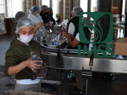 En octubre, Jalisco registró por primera vez en su historia 2 millones 13 mil 431 trabajadores asegurados ante el Instituto Mexicano del Seguro Social (IMSS). EL INFORMADOR / ARCHIVO