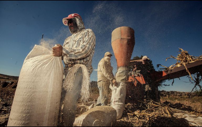 Para GCMA en el presupuesto 2024 aprobado por la Cámara de Diputados se observa 