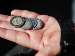 En caso de que recibas menos dinero que el salario mínimo, puedes denunciarlo para que tu patrón reciba una multa. EL INFORMADOR/ ARCHIVO.