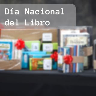 ¿Cuál es mejor? ¿El libro impreso o el digital?