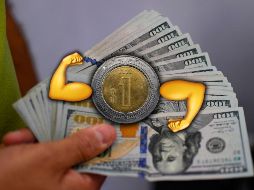 Es importante recordar que la cotización del dólar se actualiza a lo largo del día, por lo que es necesario revisarla constantemente si se requiere para alguna ejecución financiera. AFP / ARCHIVO