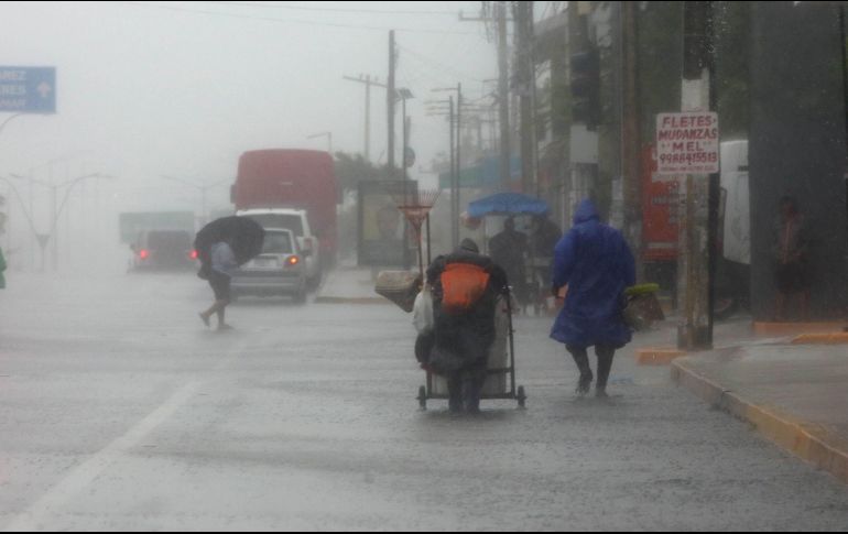 El SAT brindará facilidades fiscales a donatarias que apoyen a los afectados por el huracán Otis en Acapulco. EFE/ARCHIVO.