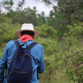 Lugares cerca de Guadalajara para visitar en este megapuente de noviembre