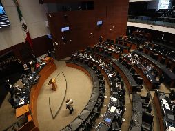 Fue avalado el dictamen que propone la creación de una comisión que en un plazo de 180 días fije el salario base del que deberán partir los contratos de los deportistas, sin importar su género. SUN / ARCHIVO