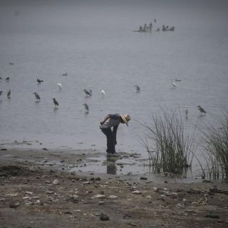 Nivel de Chapala afectaría clima de Guadalajara en 2024