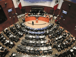 De acuerdo con la diputada, Susana Prieto, hay altas probabilidades de que se apruebe. Unsplash.