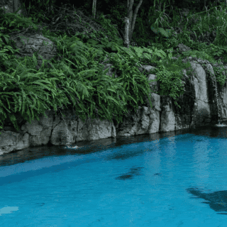 Aguas termales escondidas y cerca de Guadalajara, perfectas para escapar de la rutina