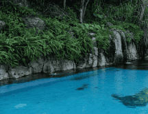 Si estás buscando un lugar adonde puedes escaparte el fin de semana, relájate en las aguas termales. ESPECIAL/ Rancho El Venado.