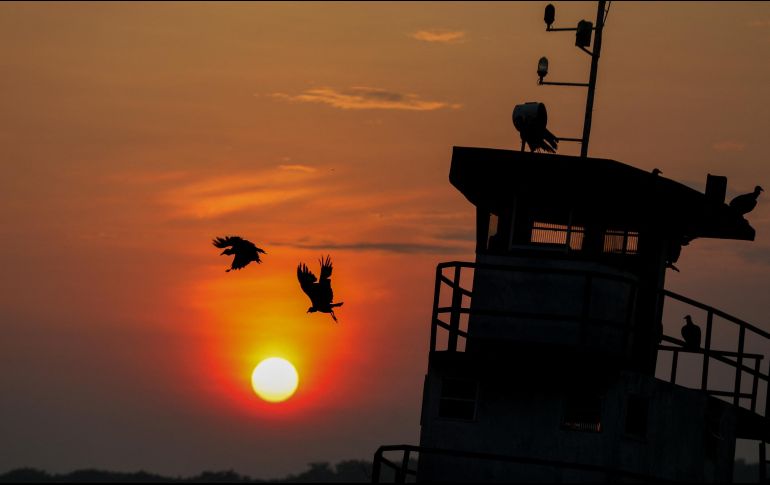 Hasta principios de octubre de este año, recordó la ONU, se registraron 86 días con temperaturas superiores a 1.5 grados por encima de los niveles preindustriales. AFP / ARCHIVO