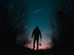 Vive una experiencia única recorriendo el Bosque Los Colomos. Pexels.