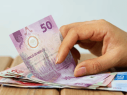 De acuerdo con la LFT se te debe entregar una parte proporcional al tiempo laborado. FREEPIK