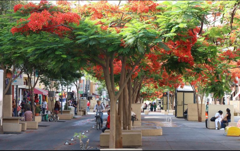 El paseo Alcalde será una de las vialidades afectadas por el cruce de eventos deportivos. ESPECIAL / Gobierno de Jalisco