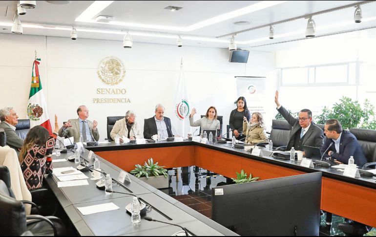 La Comisión de Justicia del Senado validó las aspiraciones de las candidatas a pesar de su cercanía con el Presidente y su administración. EL UNIVERSAL