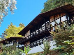 Una manera perfecta para celebrar Navidad y Año Nuevo es saliendo de la ciudad y escaparse a un lugar de bosque. EL INFORMADOR/ ARCHIVO.