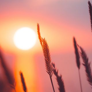 Solsticio de Invierno: ¿cuándo inicia y por qué es el día más corto del año?