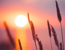 El solsticio de invierno es un fenómeno astronómico que se presenta debido a la inclinación del eje terrestre, la cual es de aproximadamente 23.5 grados. UNSPLASH / A. Savchenko