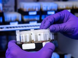 Existen iniciativas que buscan abonar en la difusión de información, así como acciones concretas de prevención y tratamiento, aquí te decimos dónde. UNSPLASH / CDC