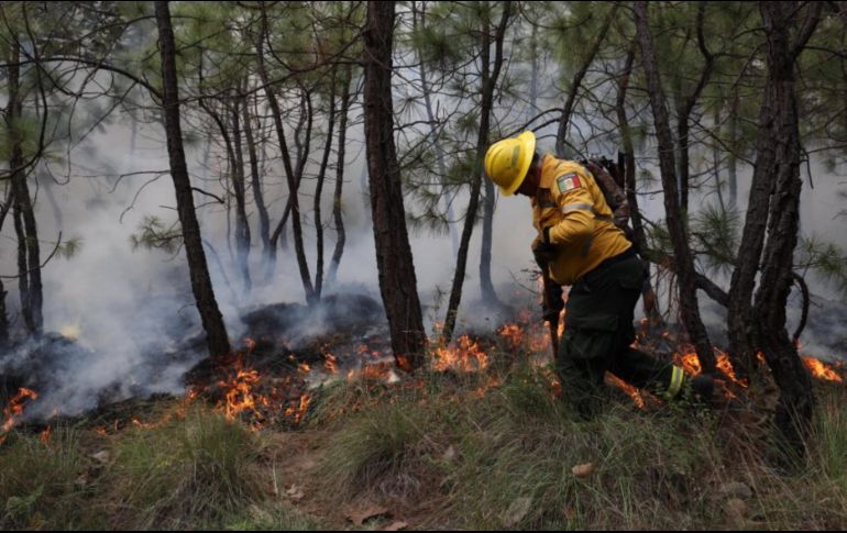 La Coordinación Municipal de Protección Civil y Bomberos de Zapopan precisó que se tratan de acciones preventivas y no de un incendio. ESPECIAL / PCyB de Zapopan