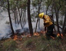 La Coordinación Municipal de Protección Civil y Bomberos de Zapopan precisó que se tratan de acciones preventivas y no de un incendio. ESPECIAL / PCyB de Zapopan
