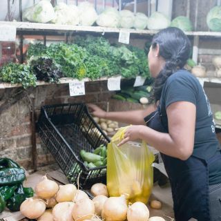 A partir del siguiente año, salario mínimo sube a $249