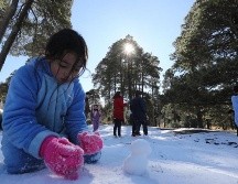 Si tienes ganas de conocer la nieve, te decimos adonde puedes ir. EL INFORMADOR/ ARCHIVO.