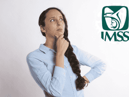 Con estos sencillos pasos puedes tramitar tu Número de Seguro Social. ESPECIAL/ Pixabay