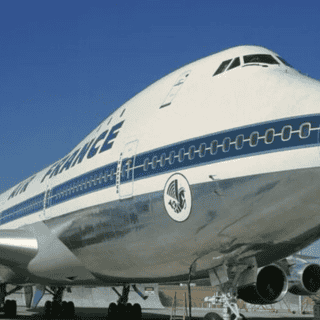 Niño de cuatro años sobrevive a una apendicitis en un vuelo a París