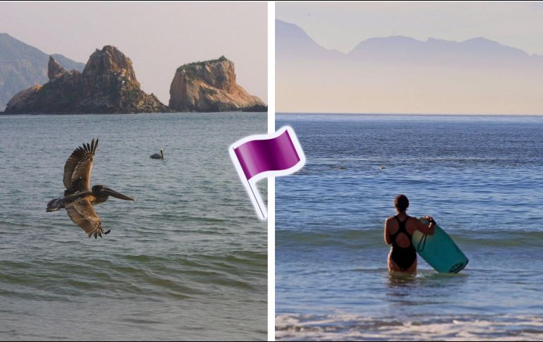 La bandera morada advierte la prohibición para ingresar al mar por presencia de fauna marina peligrosa. EL INFORMADOR / AP / ARCHIVO