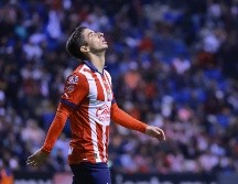 El equipo de las Chivas quedó eliminado de la Liguilla. /IMAGO7