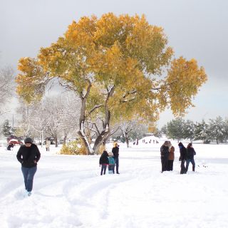 ¿Por qué en Jalisco no cae nieve?